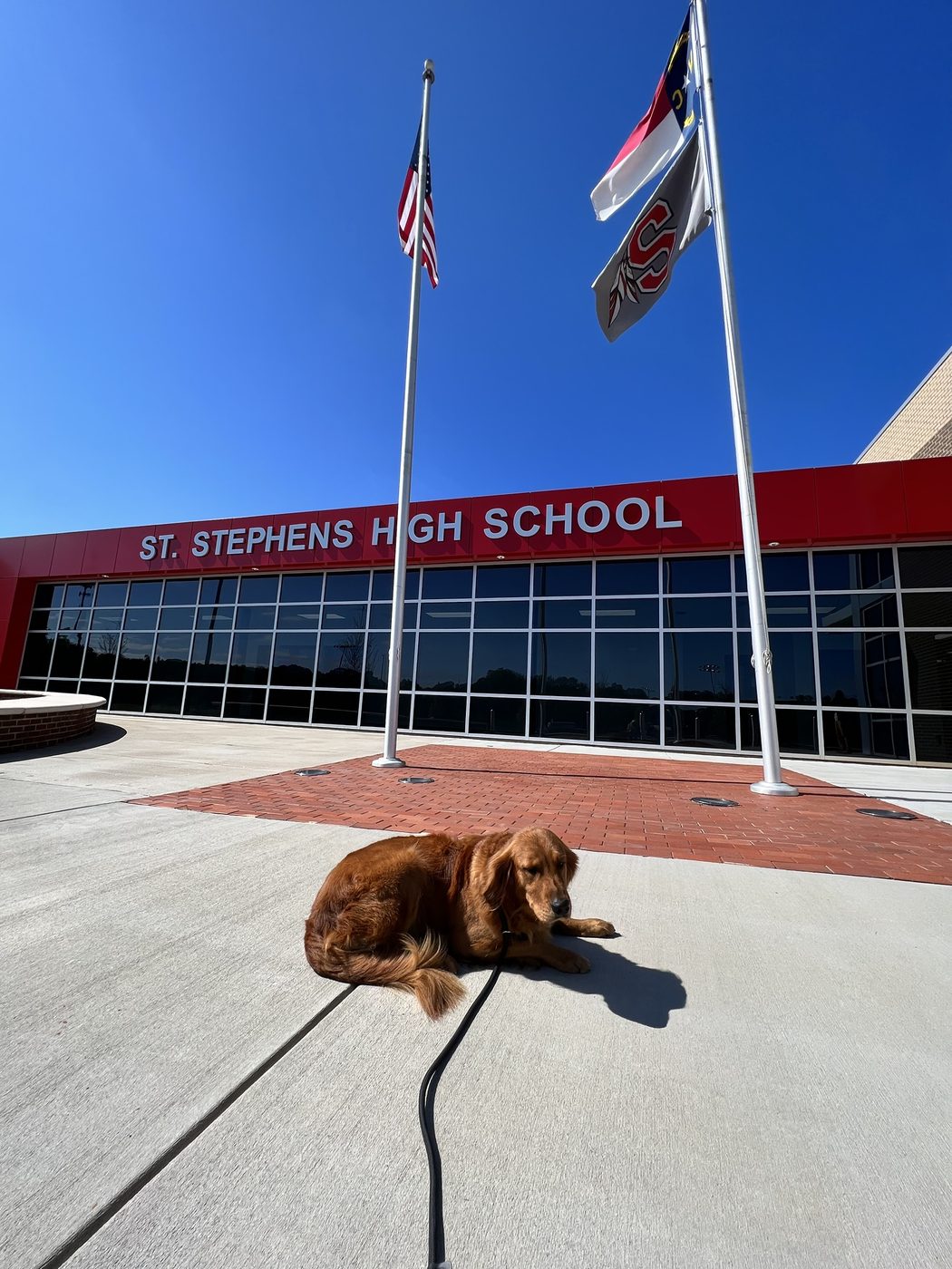 A Paw Tales golden retriever at St. Stephens High School